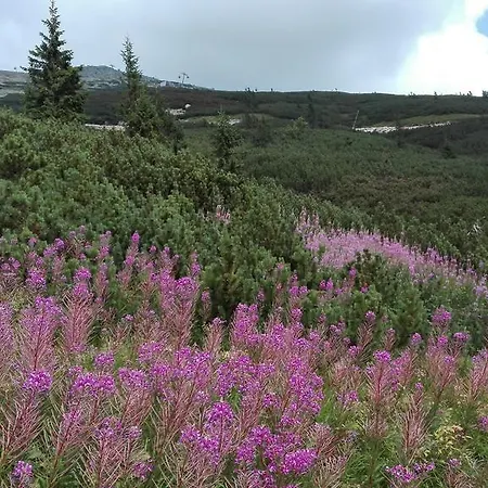 Apartmán Chopok juh Monika *